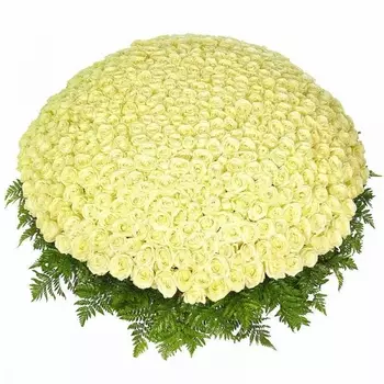 1001 Белая Роза (50 см.)