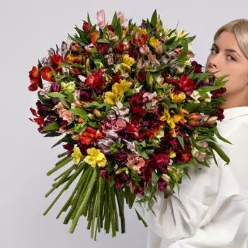 101 Альстромерия Микс