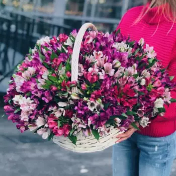 101 Альстромерия Микс в корзине