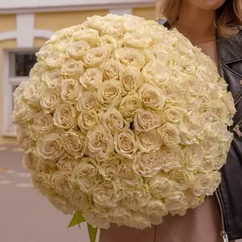 101 Белая Роза (60 см.)