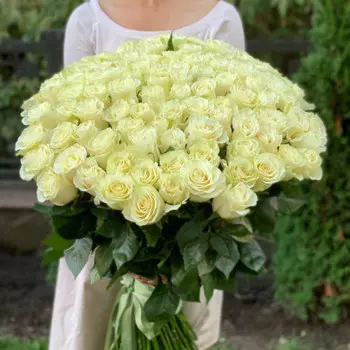 101 Белая Роза (80 см.)