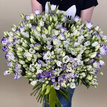 101 Бело-Фиолетовая Эустома