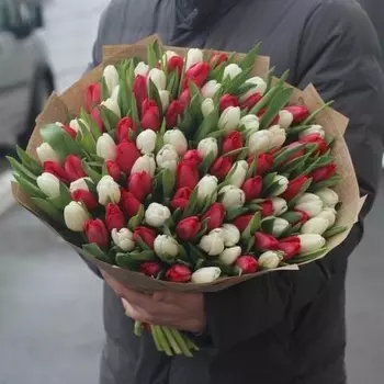 101 Белый и Красный Тюльпан