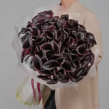 101 Черная Калла