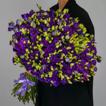 101 Фиолетовая Эустома