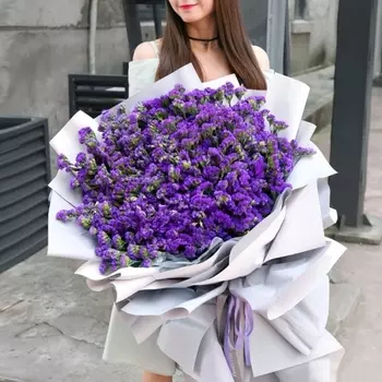 101 Фиолетовая Статица