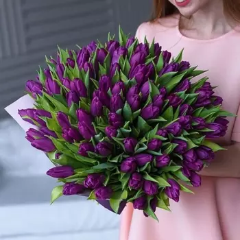 101 Фиолетовый Тюльпан