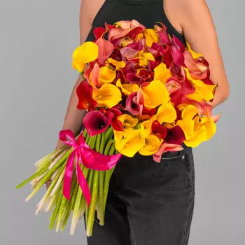 101 Калла Микс