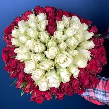 101 Красная и Белая Роза (30-40 см.) сердце