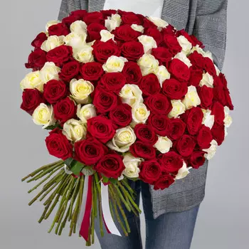 101 Красная и Белая Роза (60 см.)
