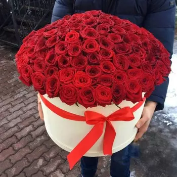 101 Красная Роза (50 см.) в коробке