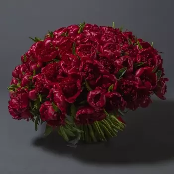 101 Красный Пион