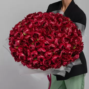 101 Красный Пион в упаковке