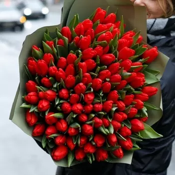 101 Красный Тюльпан в пленке