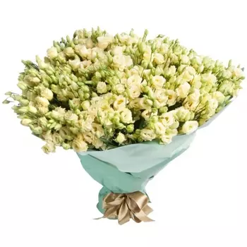 101 Кремовая Эустома