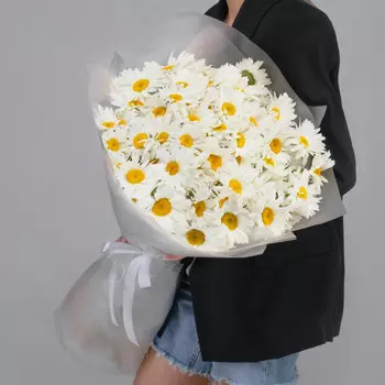 101 Крупная Ромашка