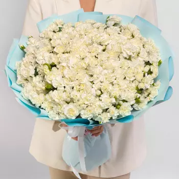 101 Кустовая Белая Гвоздика