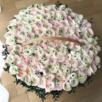101 Нежно-Розовый Ранункулюс в корзине