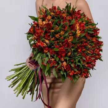 101 Оранжевая Альстромерия