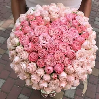 101 Пионовидная Розовая Роза (50 см.) сердце