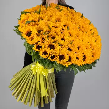 101 Подсолнух