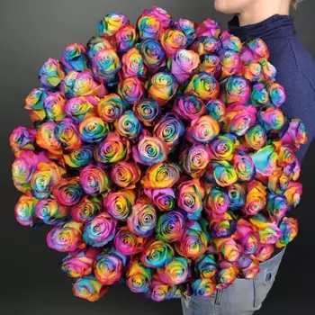 101 Радужная Роза (70 см.)