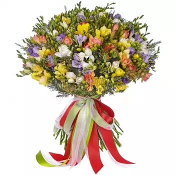 101 Разноцветная Фрезия