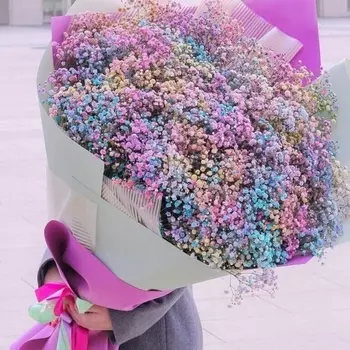 101 Разноцветная Гипсофила