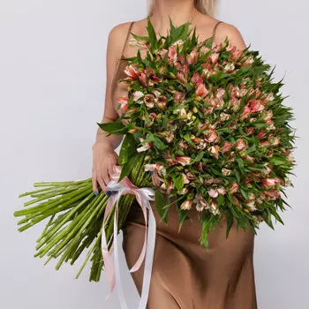 101 Розовая Альстромерия