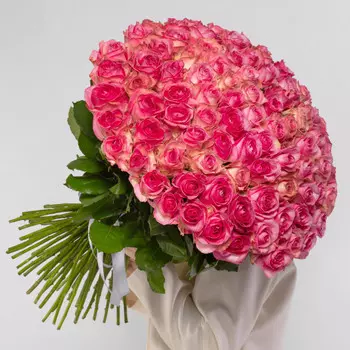 101 Розовая Роза (60 см.)