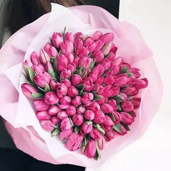 101 Розовый Тюльпан в пленке