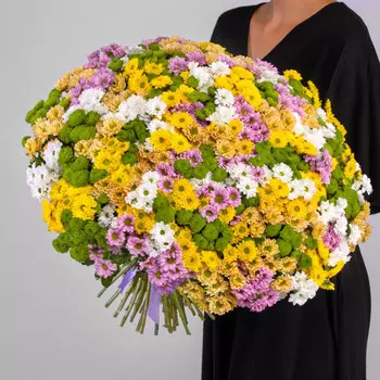 101 Сантини Микс