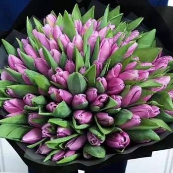 101 Сиреневый Тюльпан