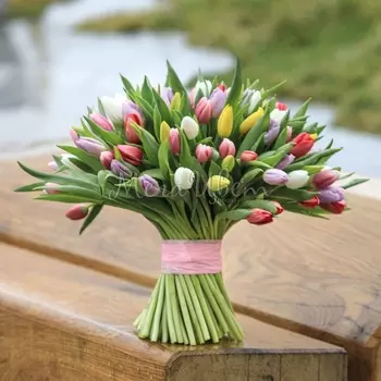 101 Тюльпан Микс