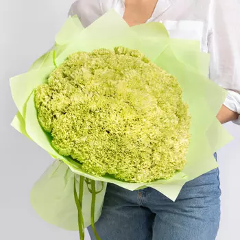 101 Зеленая Гвоздика