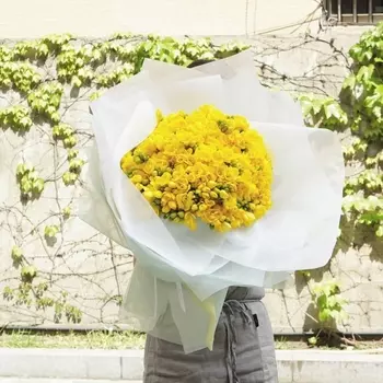 101 Желтая Фрезия