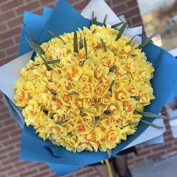 101 Желтый Махровый Нарцисс