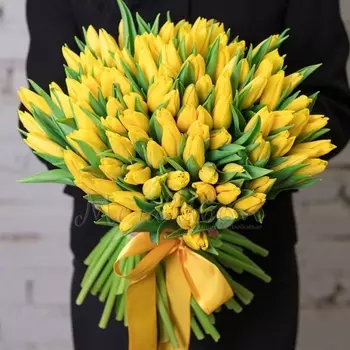 101 Желтый Тюльпан