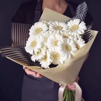 11 Белых Гербер