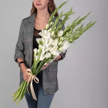 11 Белых Гладиолусов