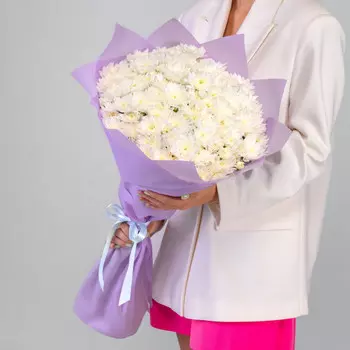 11 Белых Кустовых Хризантем