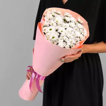 11 Белых Сантини Ромашка