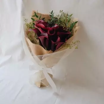 11 Бордовых Калл