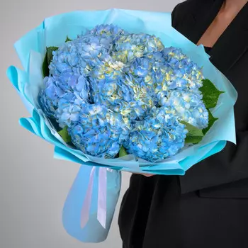 11 Голубых Гортензий