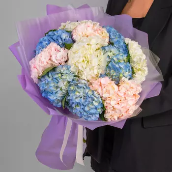 11 Гортензий Микс