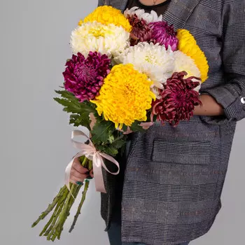 11 Хризантем Бигуди Микс