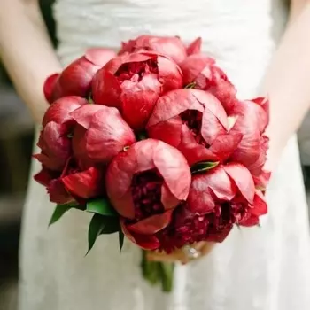 11 Красных Пионов в букете невесты