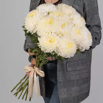 11 Кремовых Хризантем Бигуди