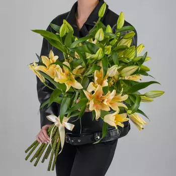 11 Кремовых Восточных Лилий