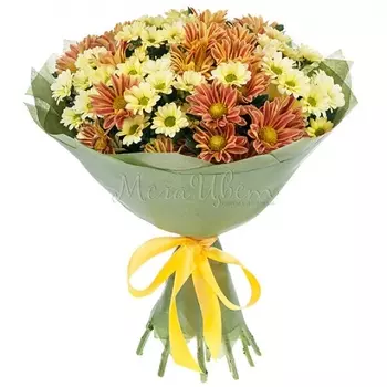 11 Кустовых Хризантем